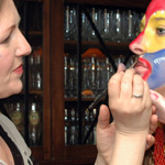 Simba – König der Löwen